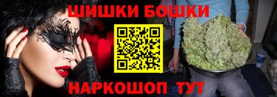 гашик Славгород