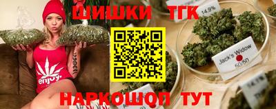 трава Сланцы