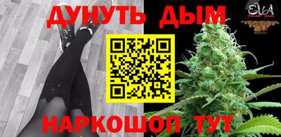 гашик Славгород